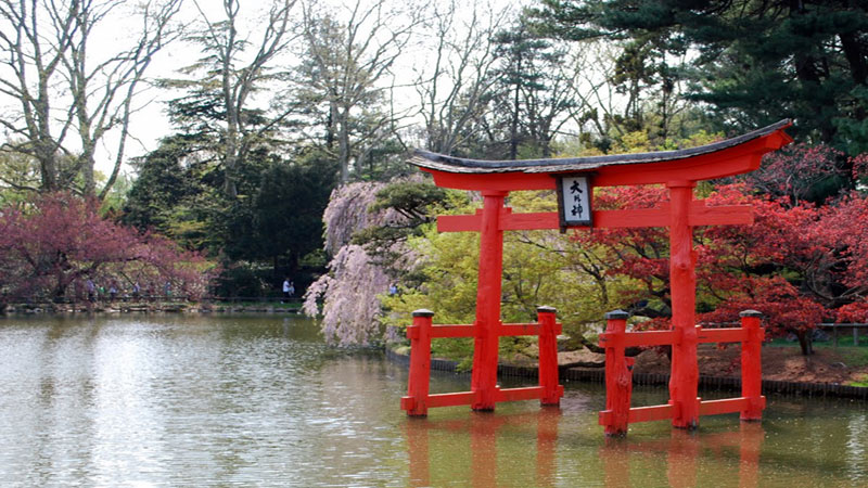 Brooklyn-Botanic-Garden-NewYork