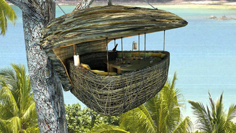 Dining_Tree_Pod.1jpg