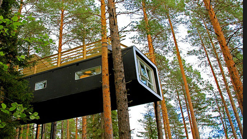 Tree hotel suède