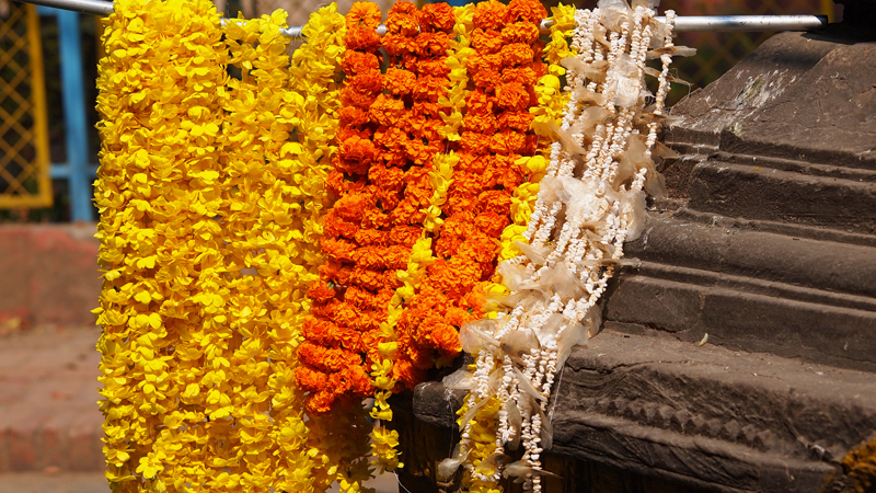 marché-aux-fleurs-inde