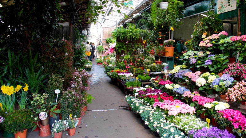 marche-aux-fleurs-paris