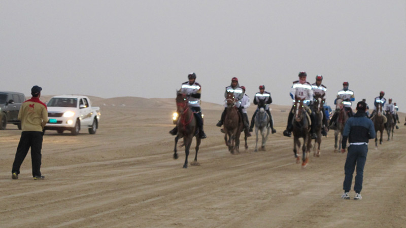 traversee-du-desert-a-cheval-qatar