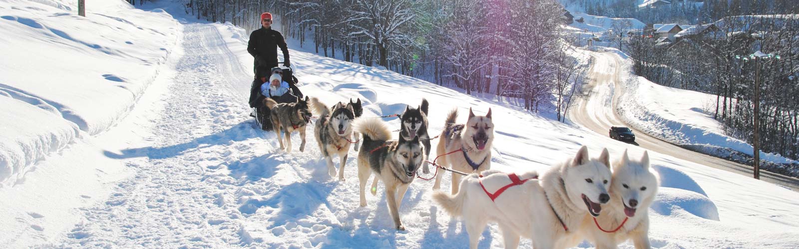 balade en chien de traineau