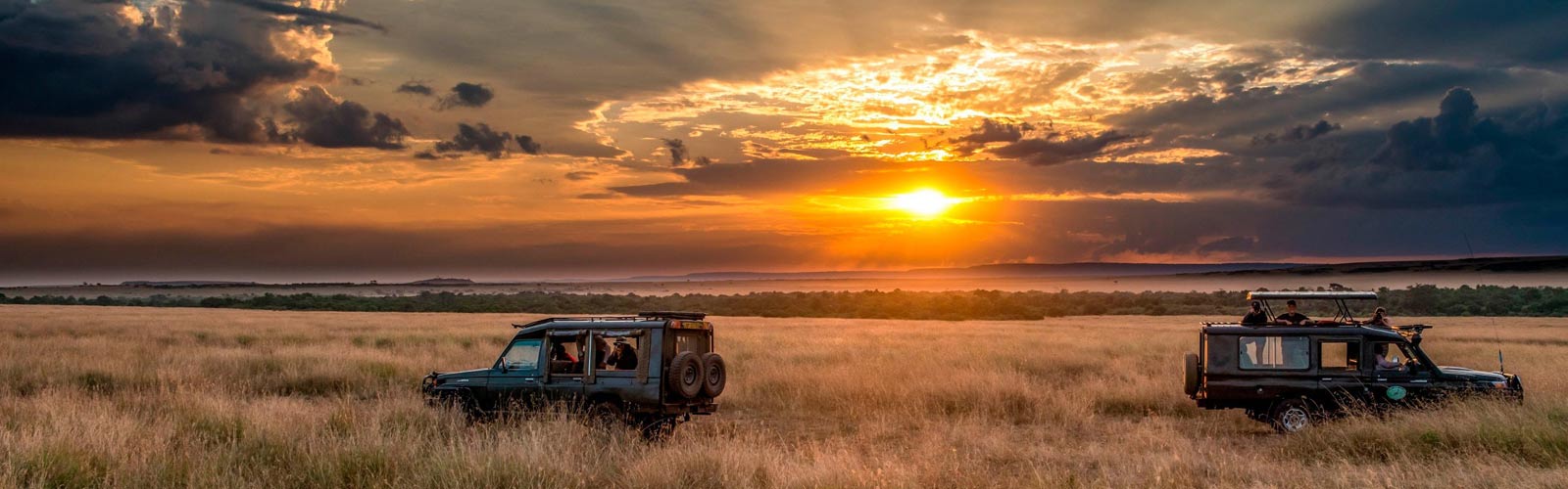 safari en tanzanie