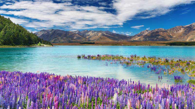 plus beaux lacs du monde tekapo