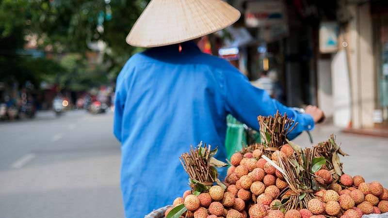 premiere fois a hanoi street food