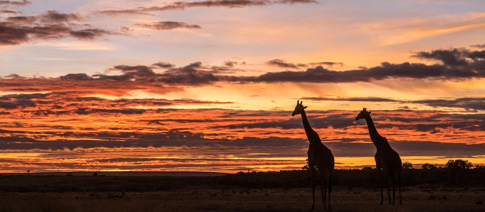 quand partir au kenya