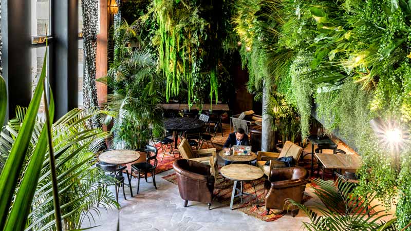 kube hotel plantes