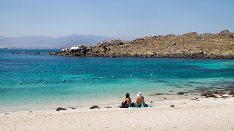 plages du chili Punta de Choros