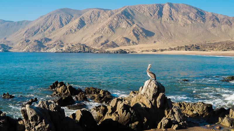 plages du chili azucar