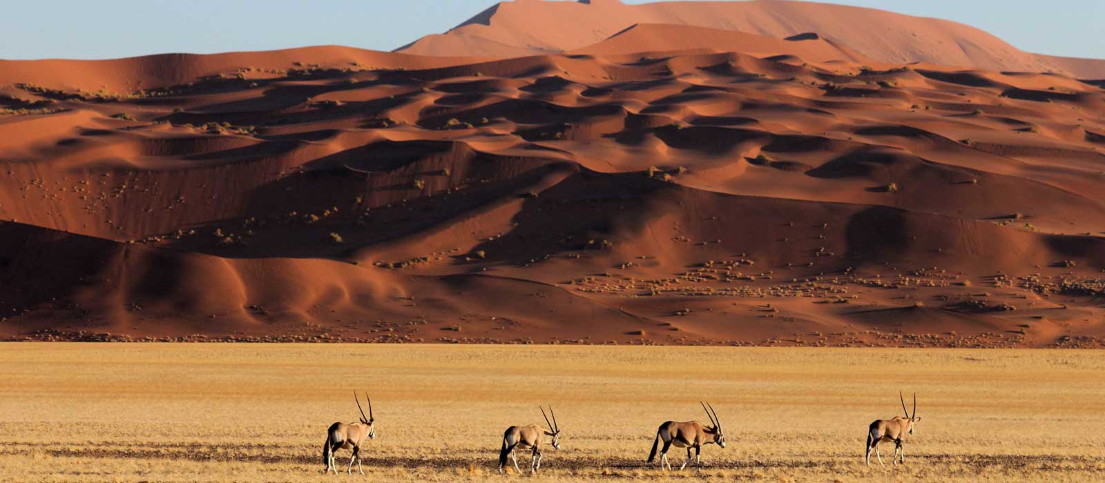 incontournables en namibie