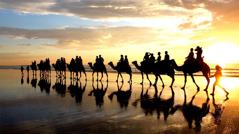 agadir souk camel