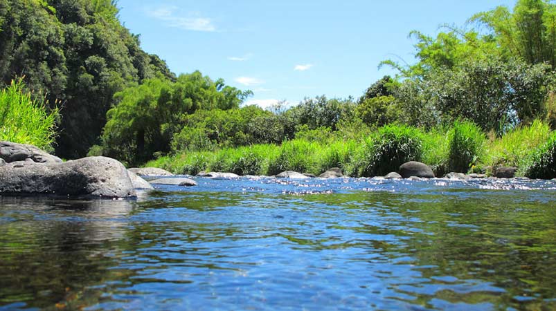 que faire a la reunion ilet