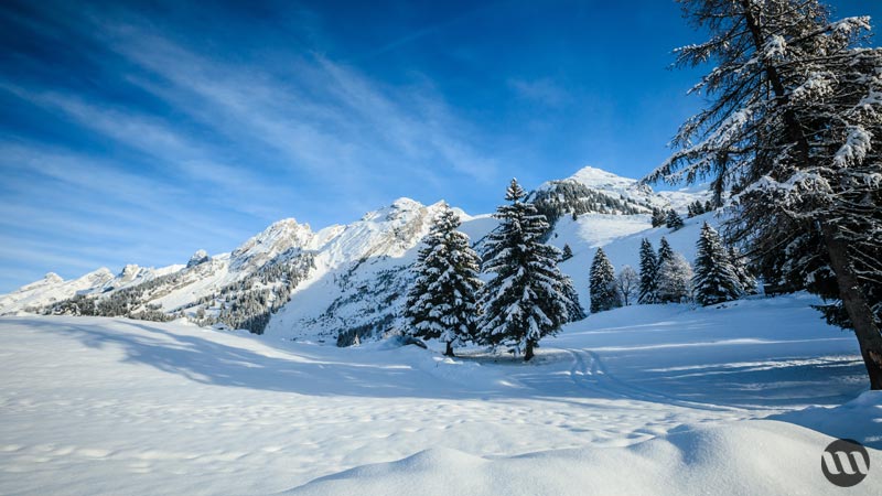 ski a la clusaz sapins