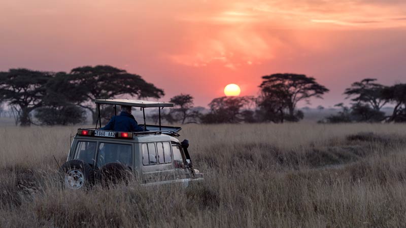 faire un safari au sri lanka Minneriya