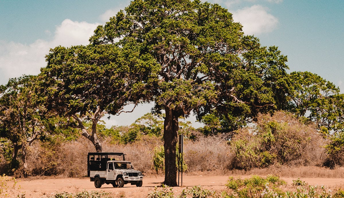 Park Yala Sri Lanka