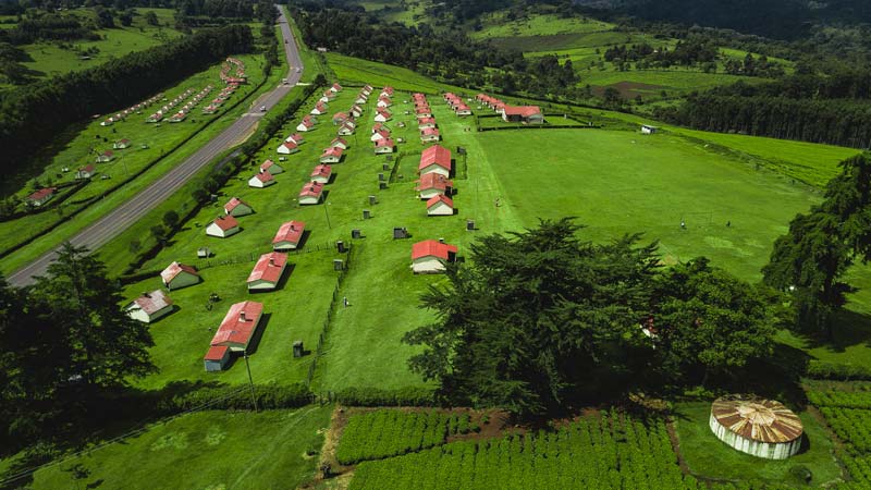 découverte de kericho plantation 1