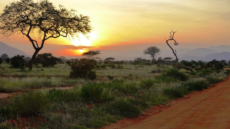 incontournables au kenya mont tsavo