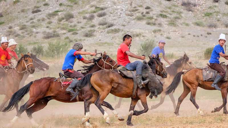 quand partir au kirghizistan chevaux