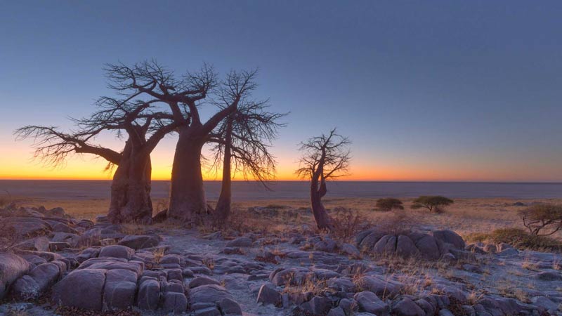 voyage au botswana Makgadikgadi