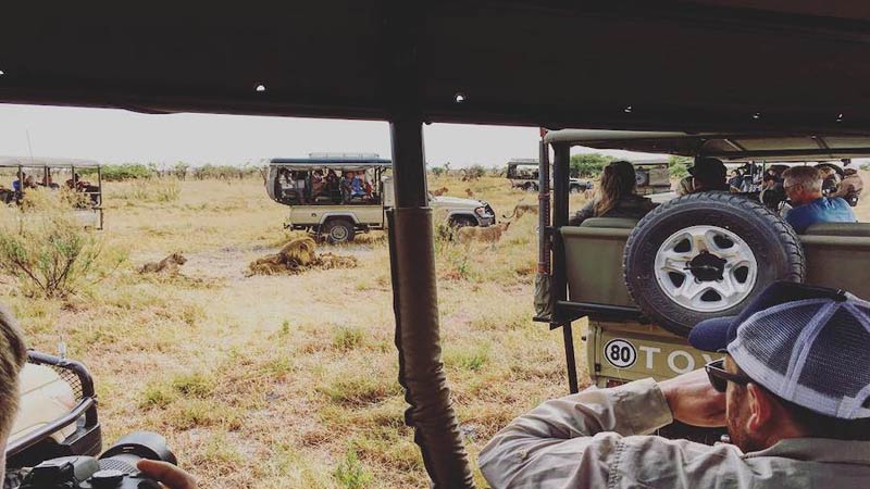 voyage au botswana safari