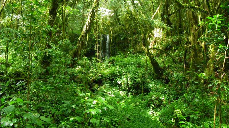 île de pemba randonnée