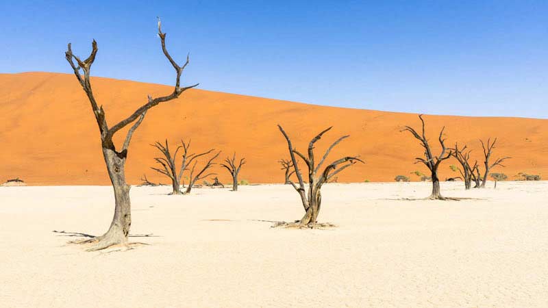 voyage en namibie dead vlei