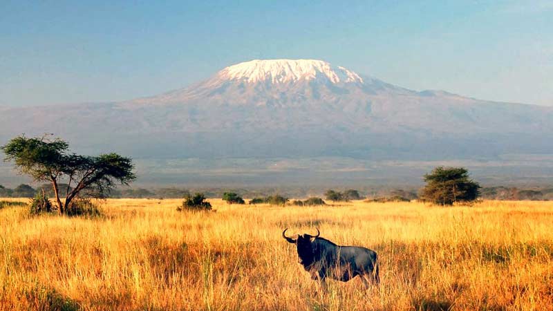 que faire en Tanzanie kilimandjaro