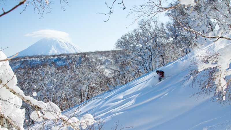 où partir en décembre au ski niseko