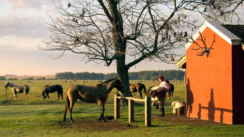 Dormir dans une estancia en Argentine