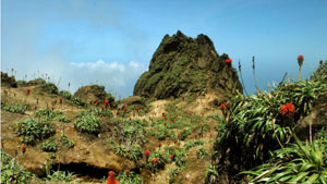 Ascension de la soufrière