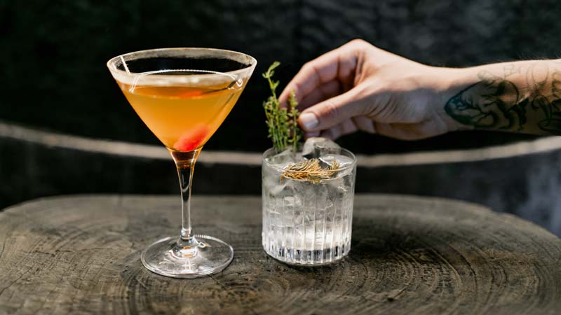 bar-a-cocktail-a-paris-herbarium1