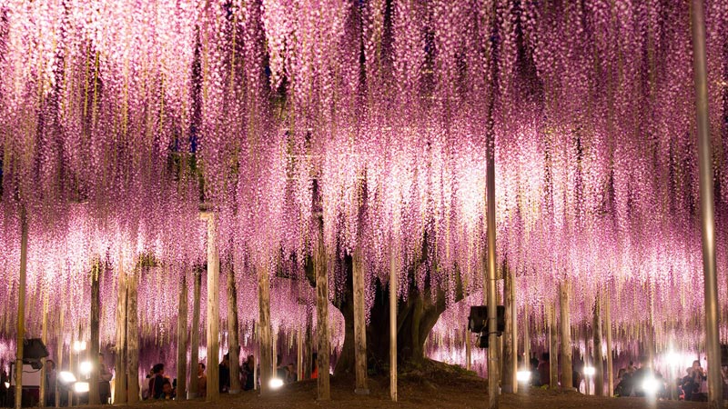 beautes-meconnues-japon