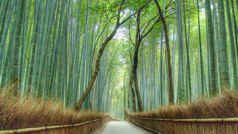 beautes-meconnues-kyoto