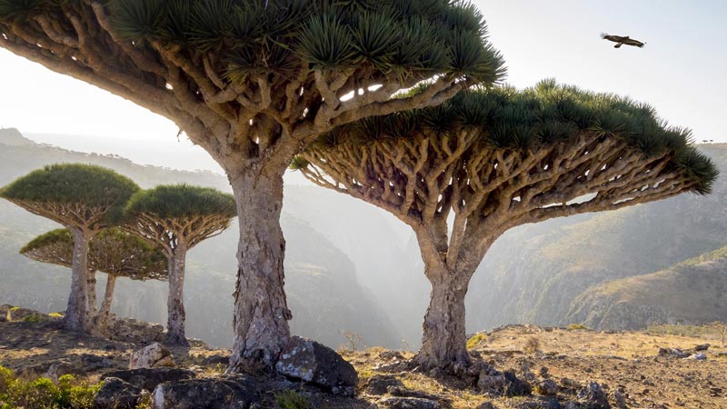 beautes-meconnues-yemen