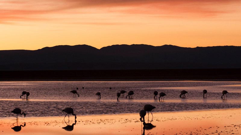 couchers-de-soleil-dans-le-monde-atacama