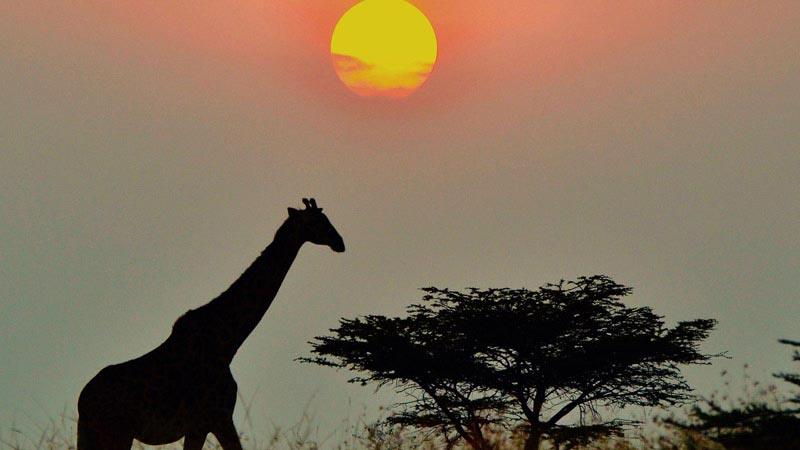 couchers-de-soleil-dans-le-monde-kenya