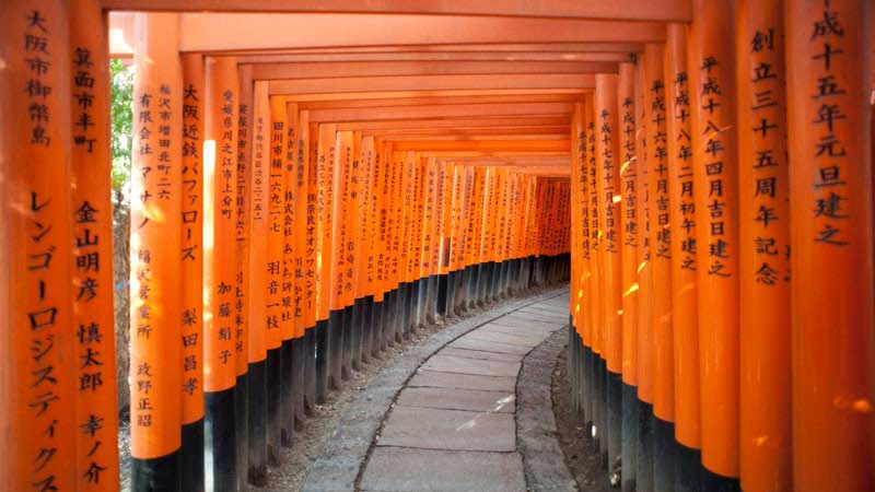 decouvrir-kyoto-torii-tunnel