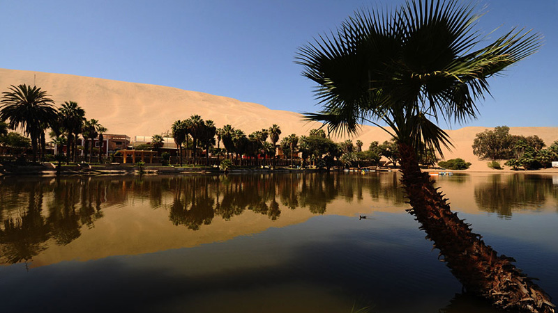 desert d huacachina au perou4