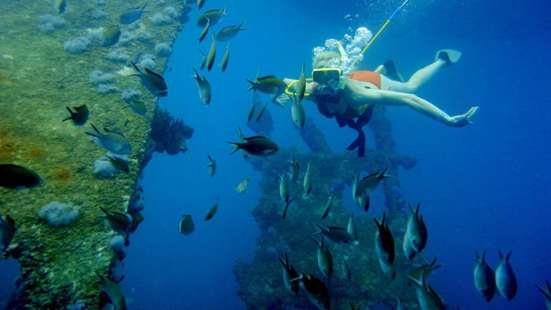 faire du snorkeling sur epave aruba