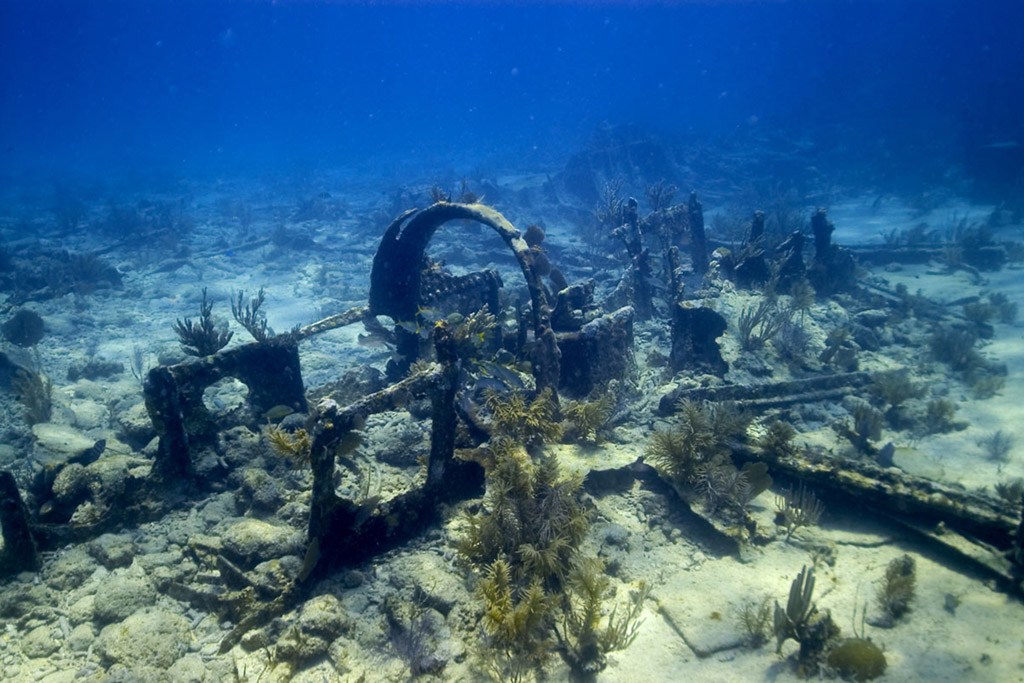 faire du snorkeling sur epave floride