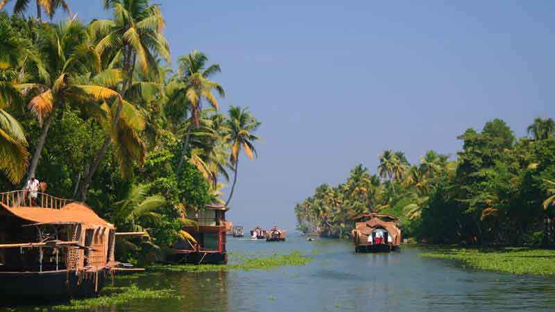 kerala-paradis-vert-backwaters