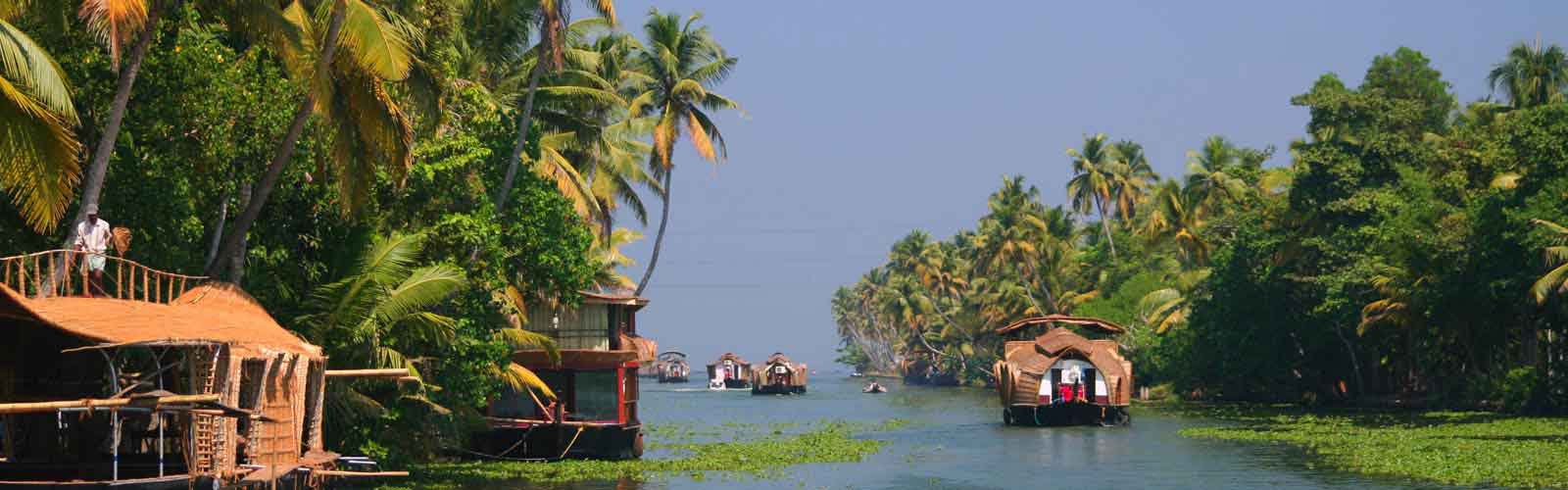 kerala-paradis-vert