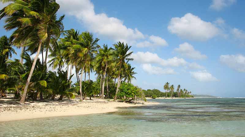 Plage de Guadeloupe Bois Jolan