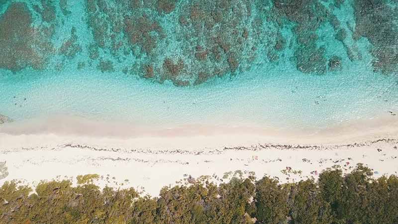 Plage des Salines Guadeloupe