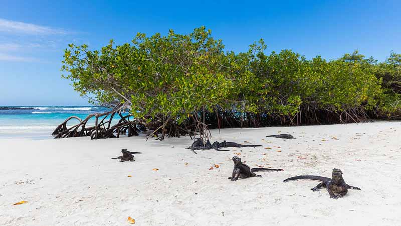 plages de l equateur playita