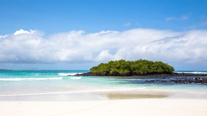 plages de l equateur tortuga bay