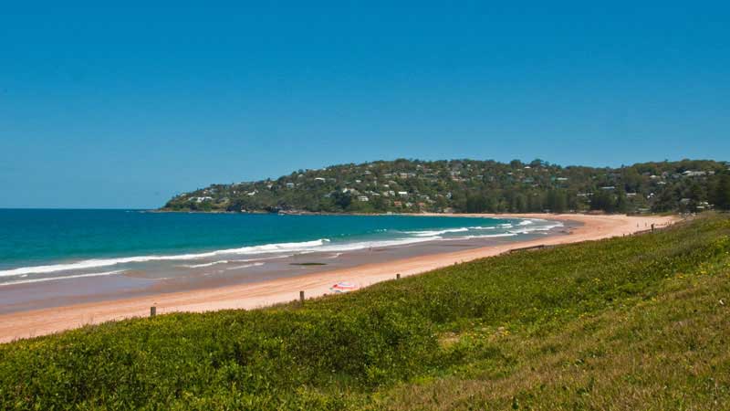 plages-de-sydney-palm