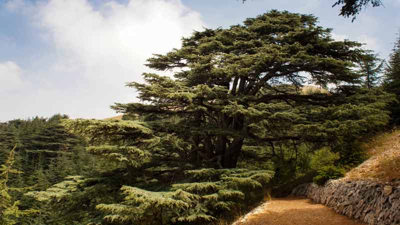 road-trip-au-liban-beiteddine