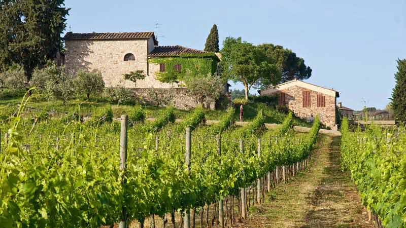 toscane-en-vespa-chianti